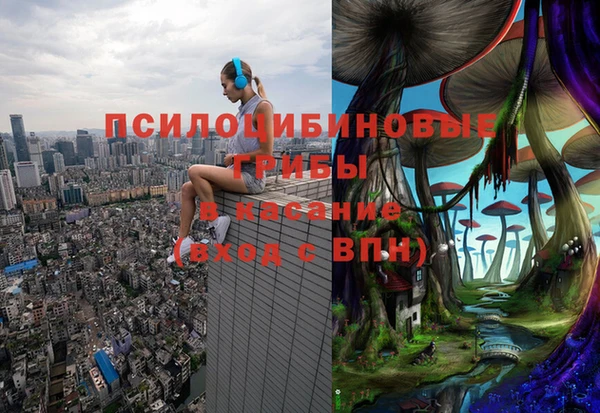 марки nbome Инсар