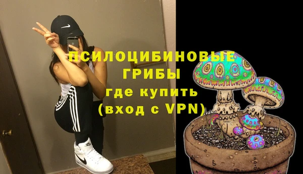 марки nbome Инсар