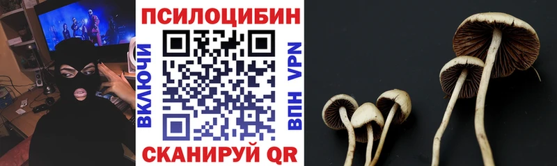 Купить  Гусиноозёрск  Галлюциногенные грибы мухоморы 